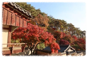 도산서원