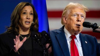 트럼프 해리스 관련주 공약 미국 대선 결과