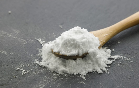 러브버그 퇴치 및 예방법