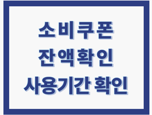 소비쿠폰 잔액확인