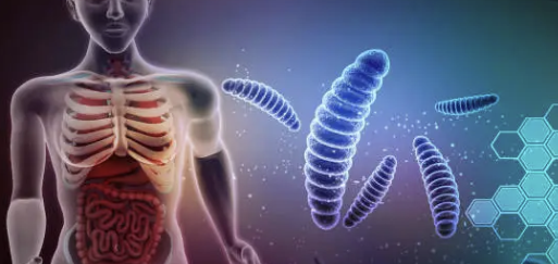 방귀가 많이 나오는 이유 30