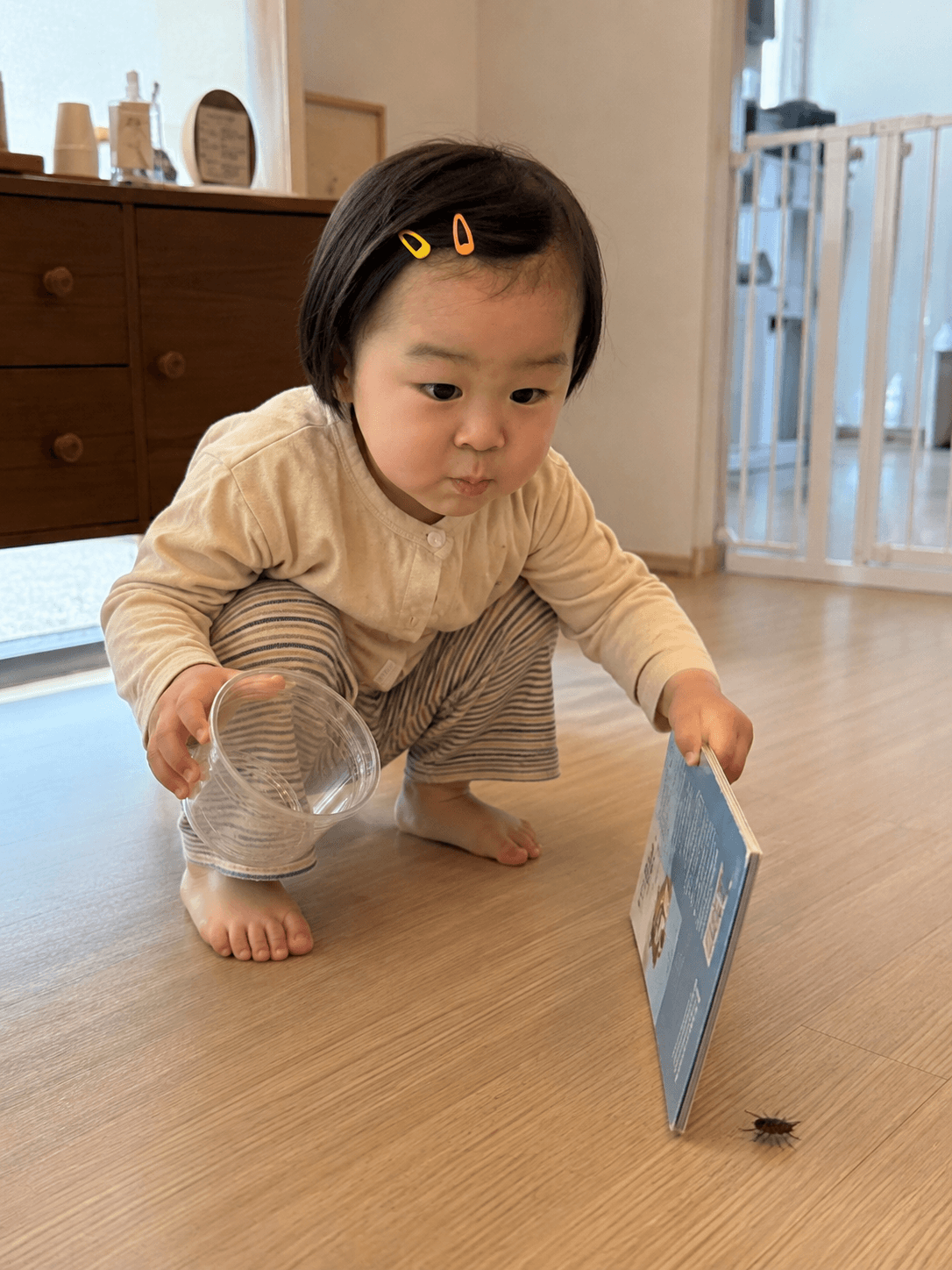 31개월육아