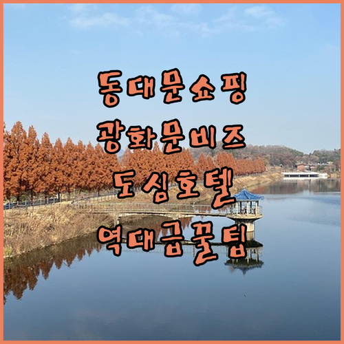 동대문 쇼핑과 광화문 비즈니스를 한 ..