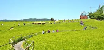 고창 맛집 베스트10 숨겨진 나만 아는 맛집_3