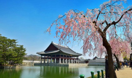 경복궁 경회루 전경(봄)