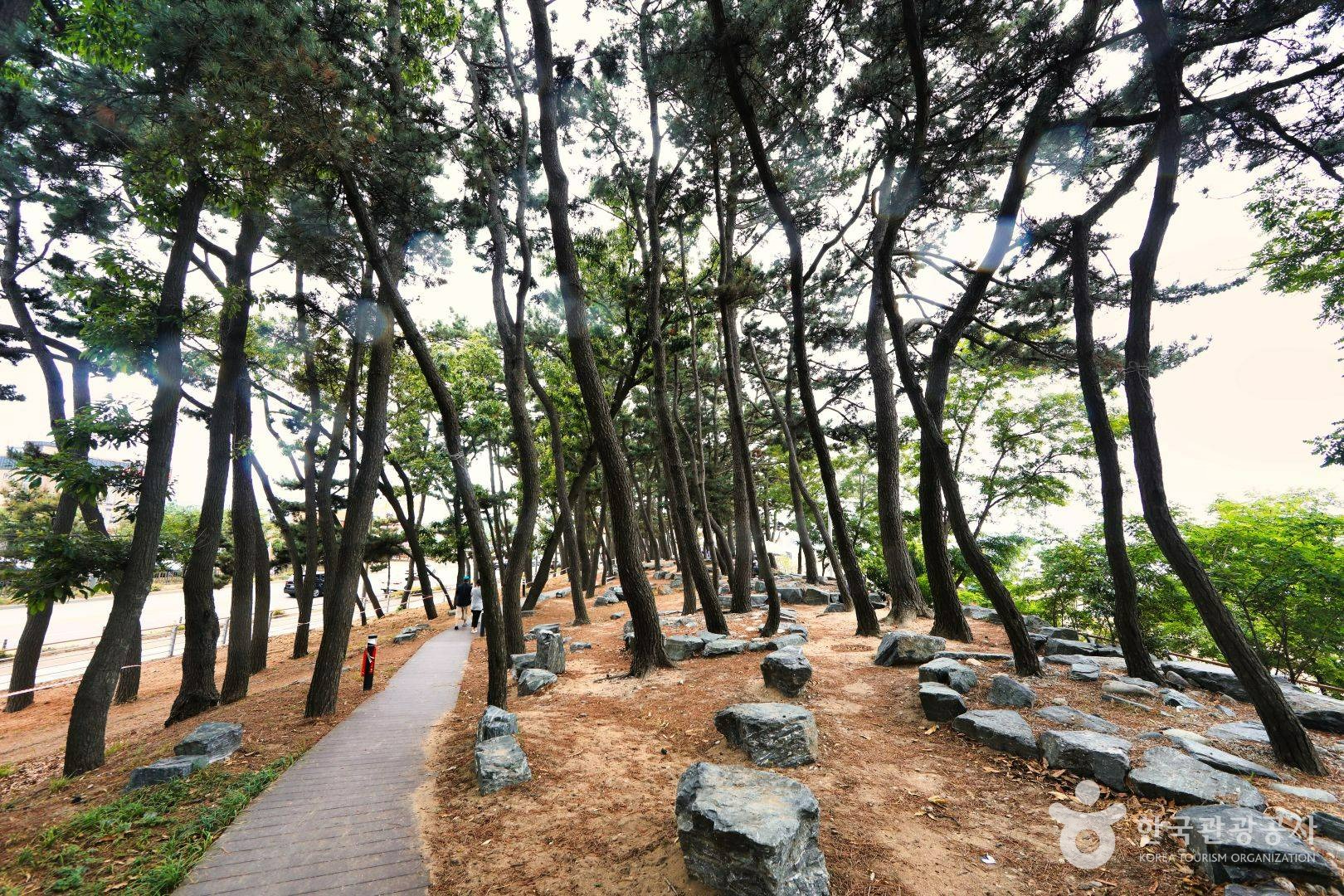 안산 방아머리해변