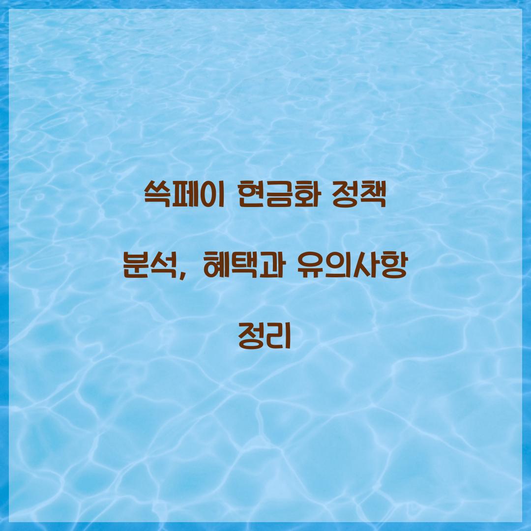 쓱페이 현금화 정책 분석