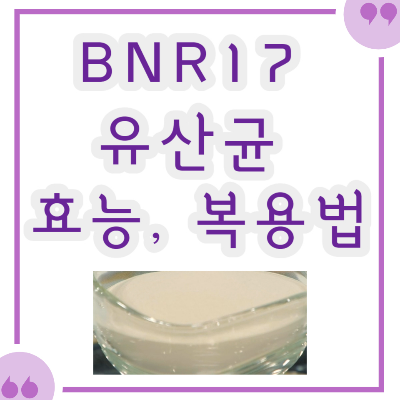 bnr17유산균