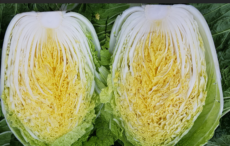 농부삼촌영농조합법인 