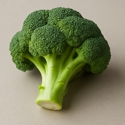 간에 좋은 음식 10가지