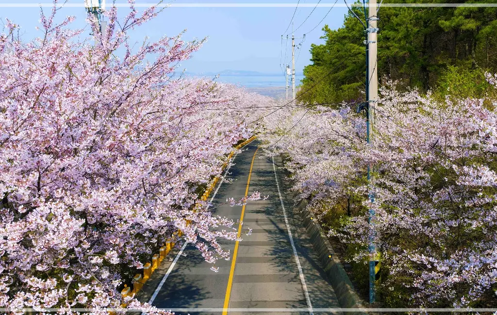 인천-i-바다패스-인천-섬-여행