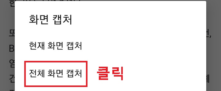 전체 화면 캡처 클릭함