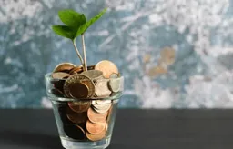 대형마트 불가? 쿠폰 사용처 제한 조건 총정리