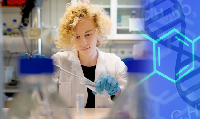 화학과 전망 및 전국대학리스트