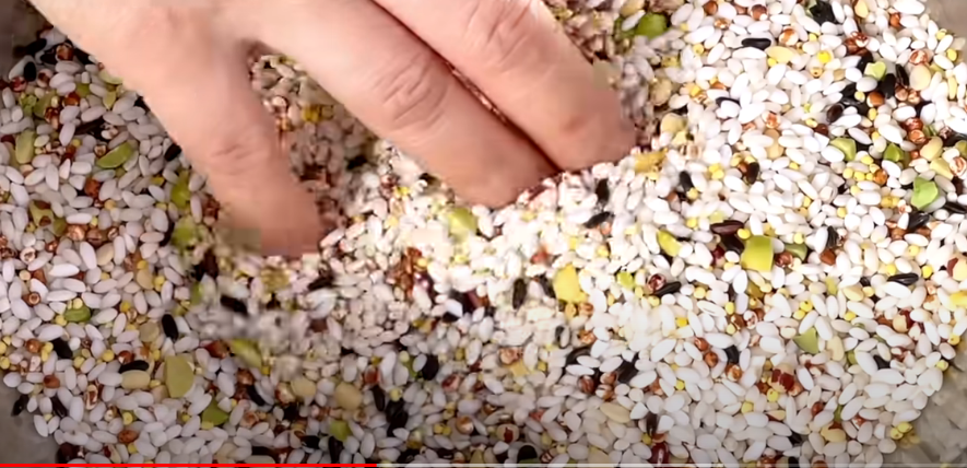 오곡밥 만드는 법