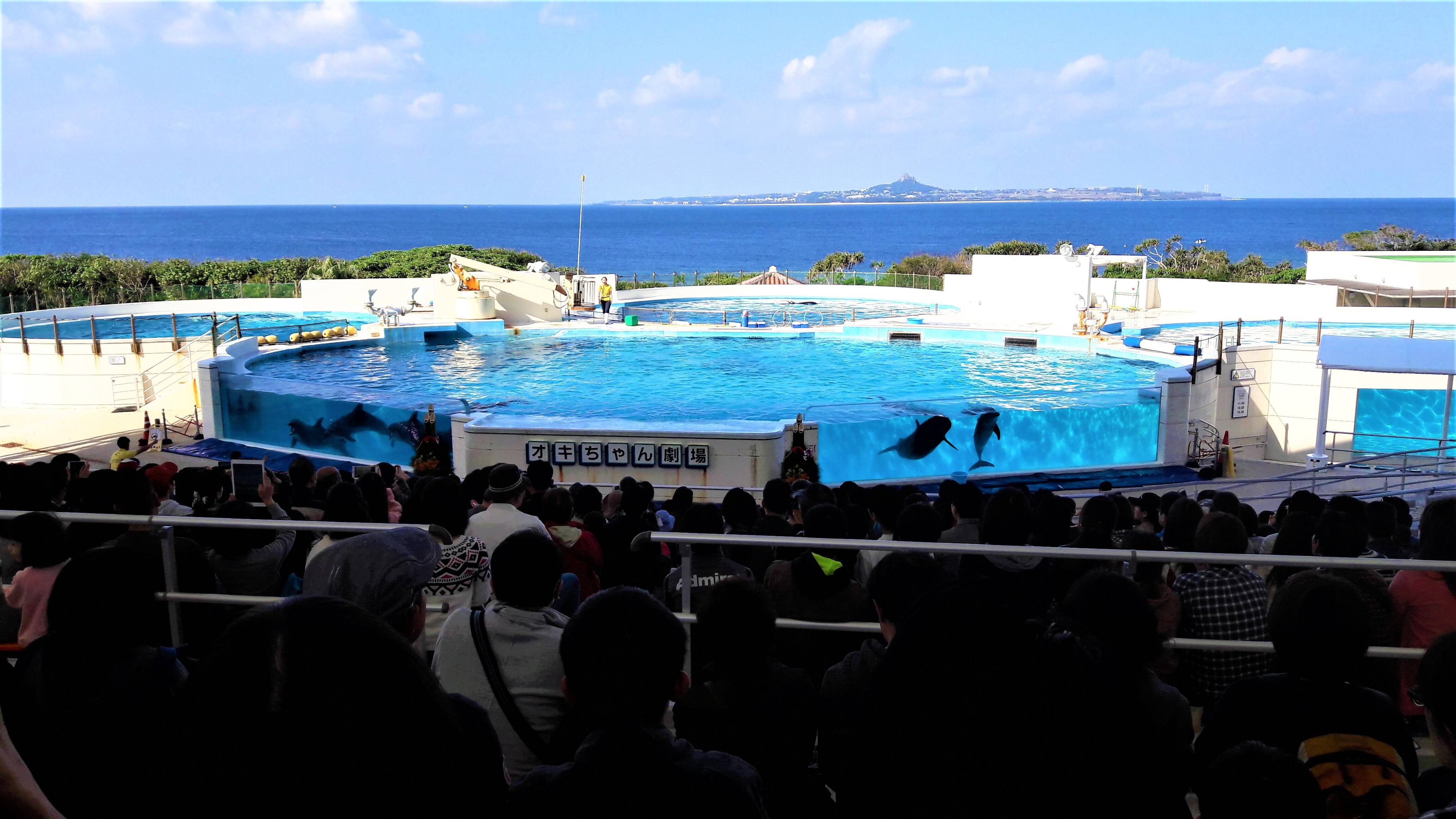 츄라우미 수족관