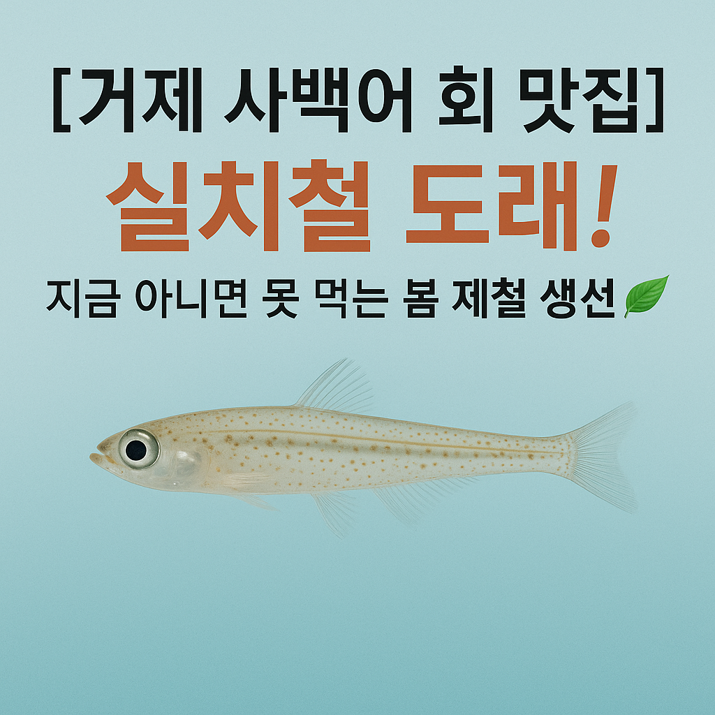 사백어-실치-거제도-거제도여행