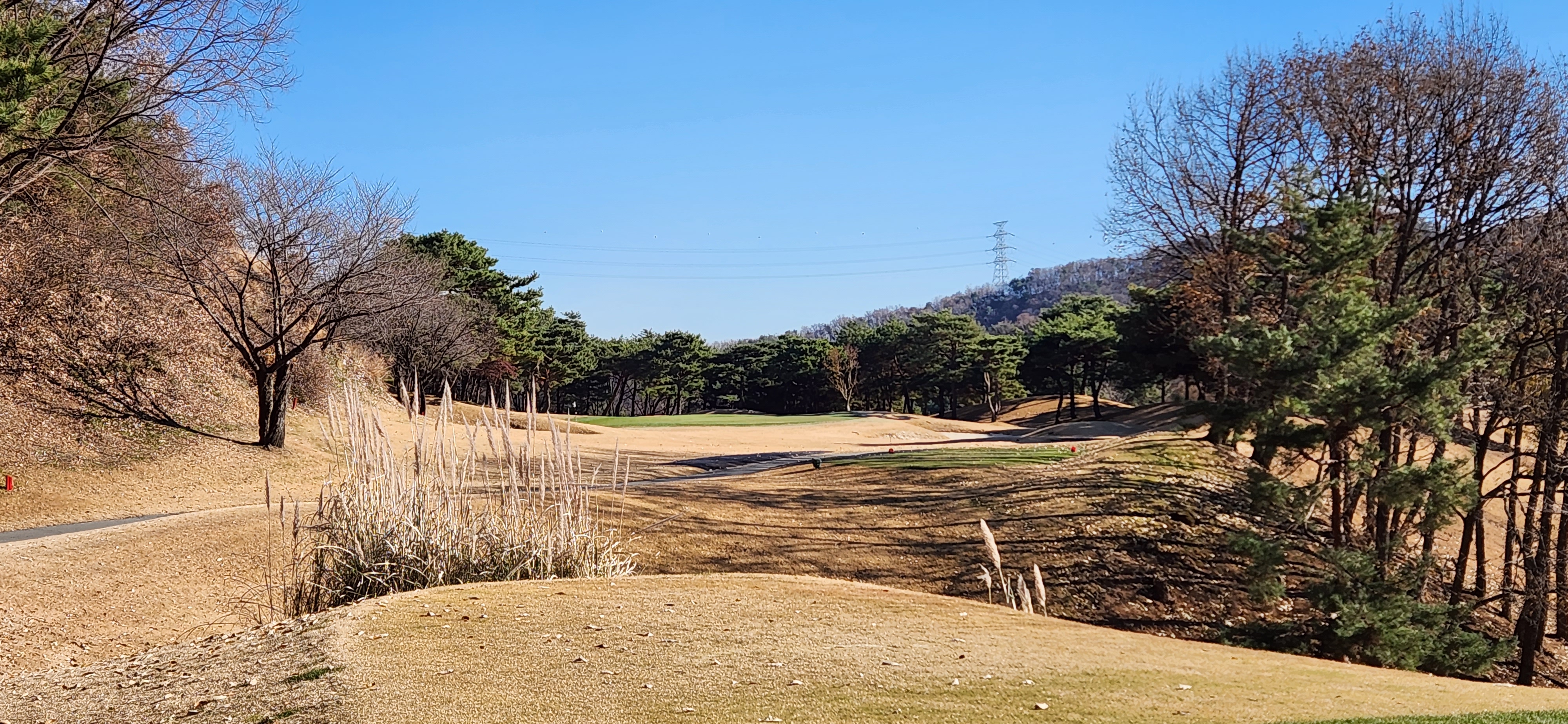 파인크리크