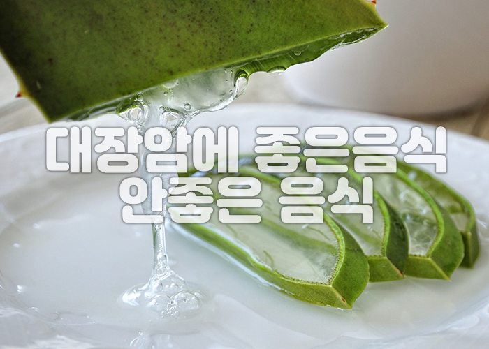 알로에 이미지