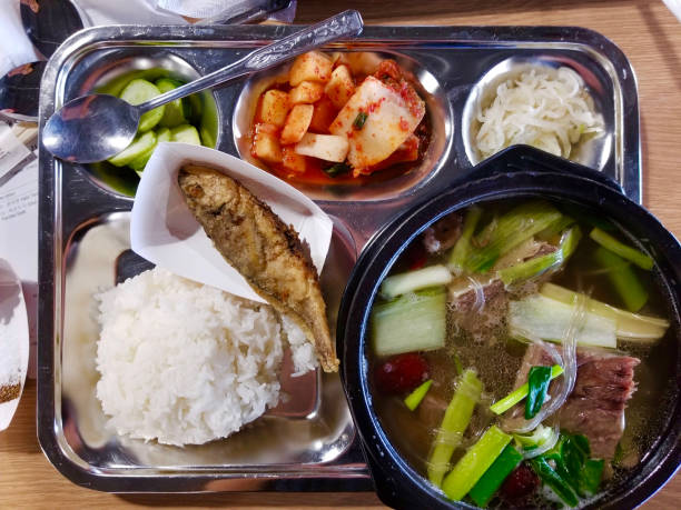 학교·회사 도시락 현실 레시피