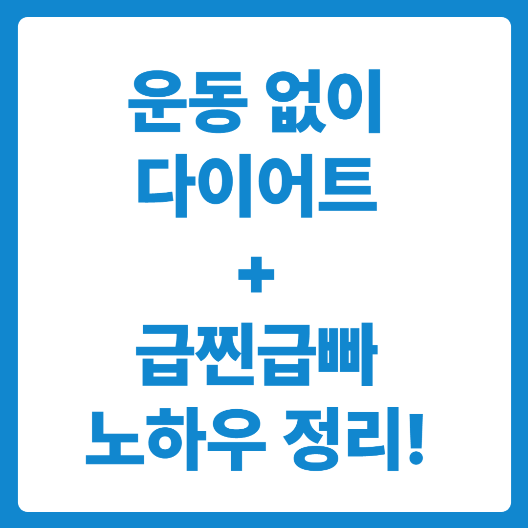 운동 없이 다이어트 + 급찐급빠 노하우 정리!
