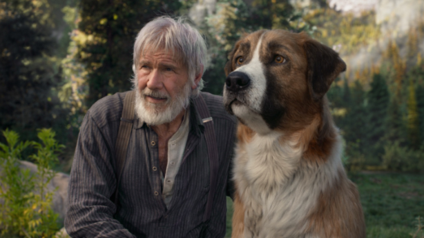 콜 오브 와일드의 한 장면(주인공의 시선)