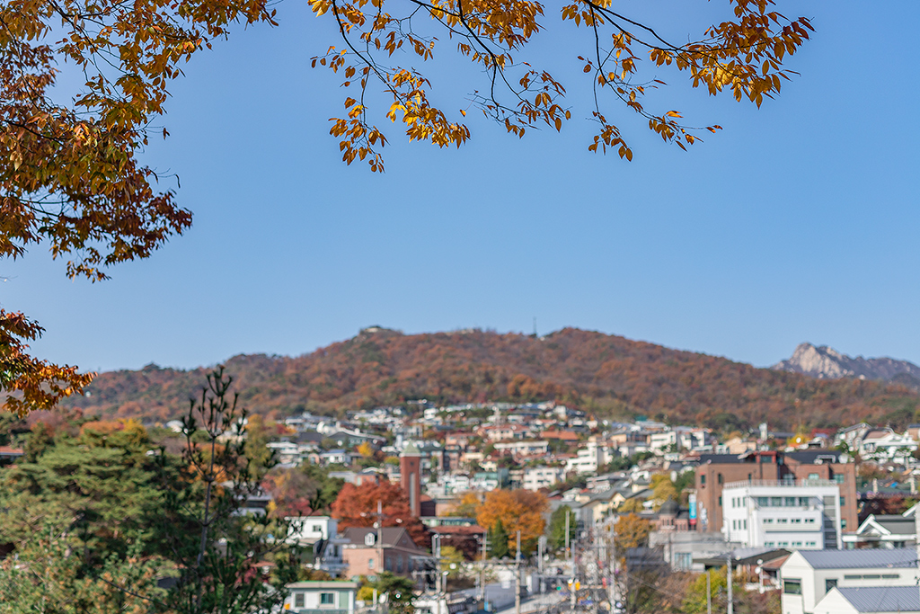 혜화문
성북동
한양도성길
백악구간
서울여행
서울단풍
가을단풍
단풍
