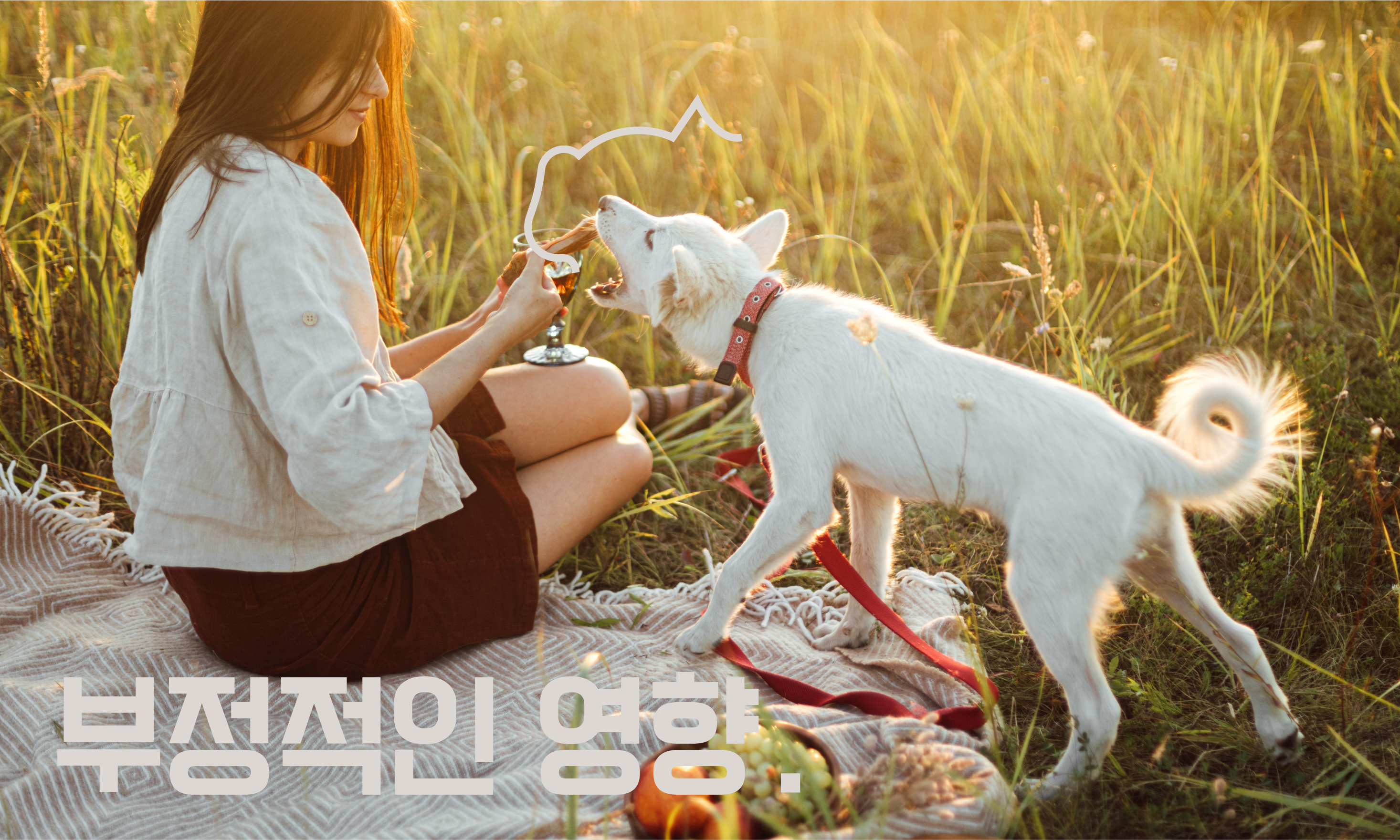 강아지-뼈간식