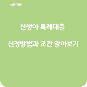 신생아특례 대출