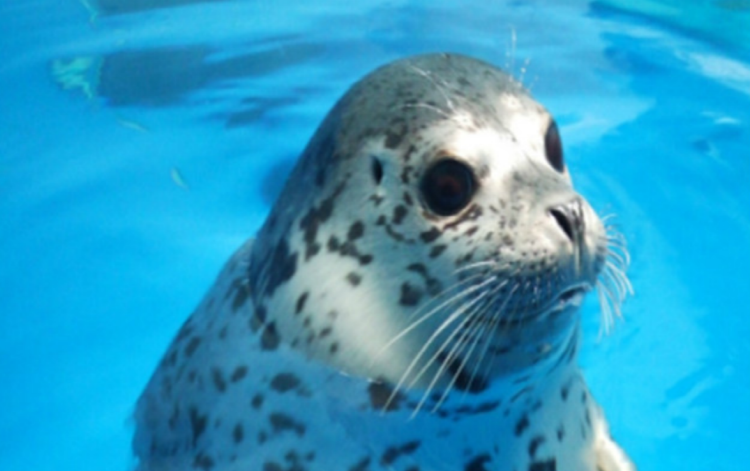 울진 아쿠아리움