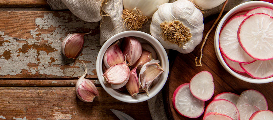 마늘-양파