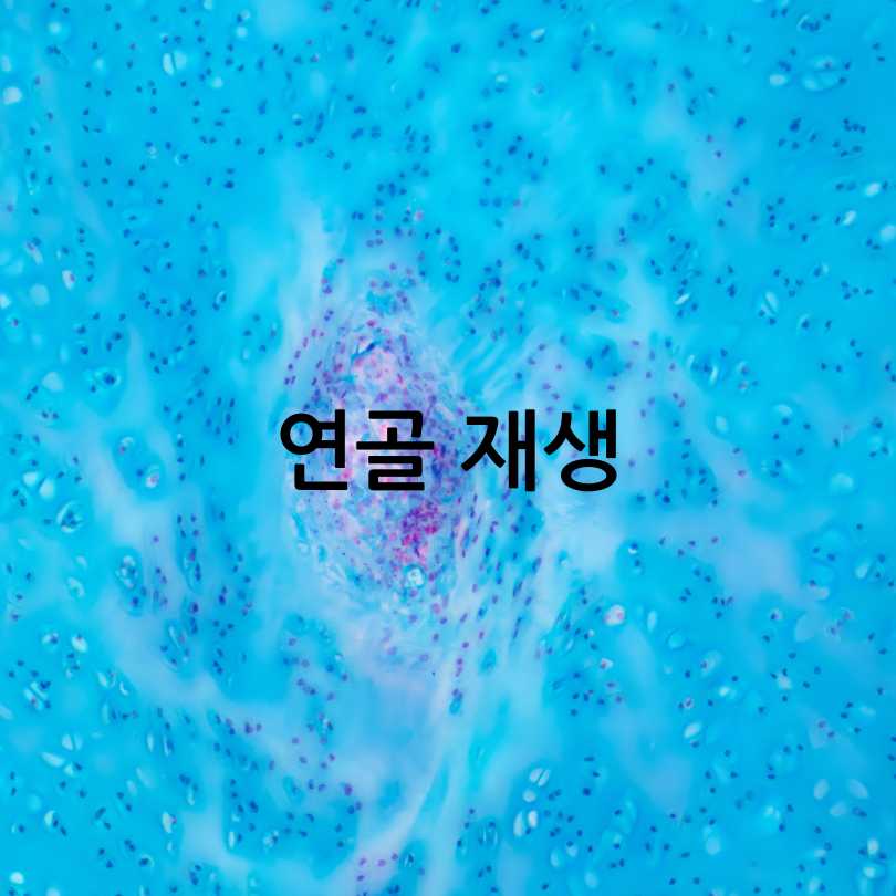 관절영양제