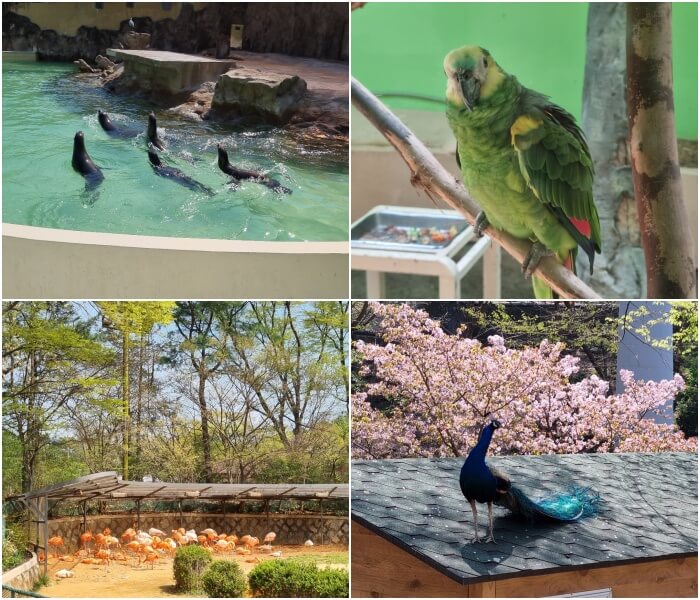 과천서울대공원 동물원