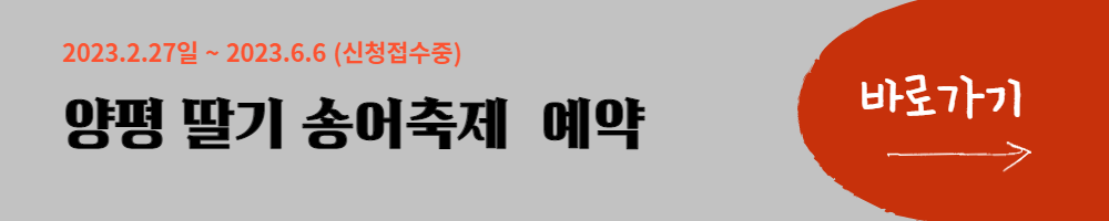 양평딸기 송어축제 예약하기