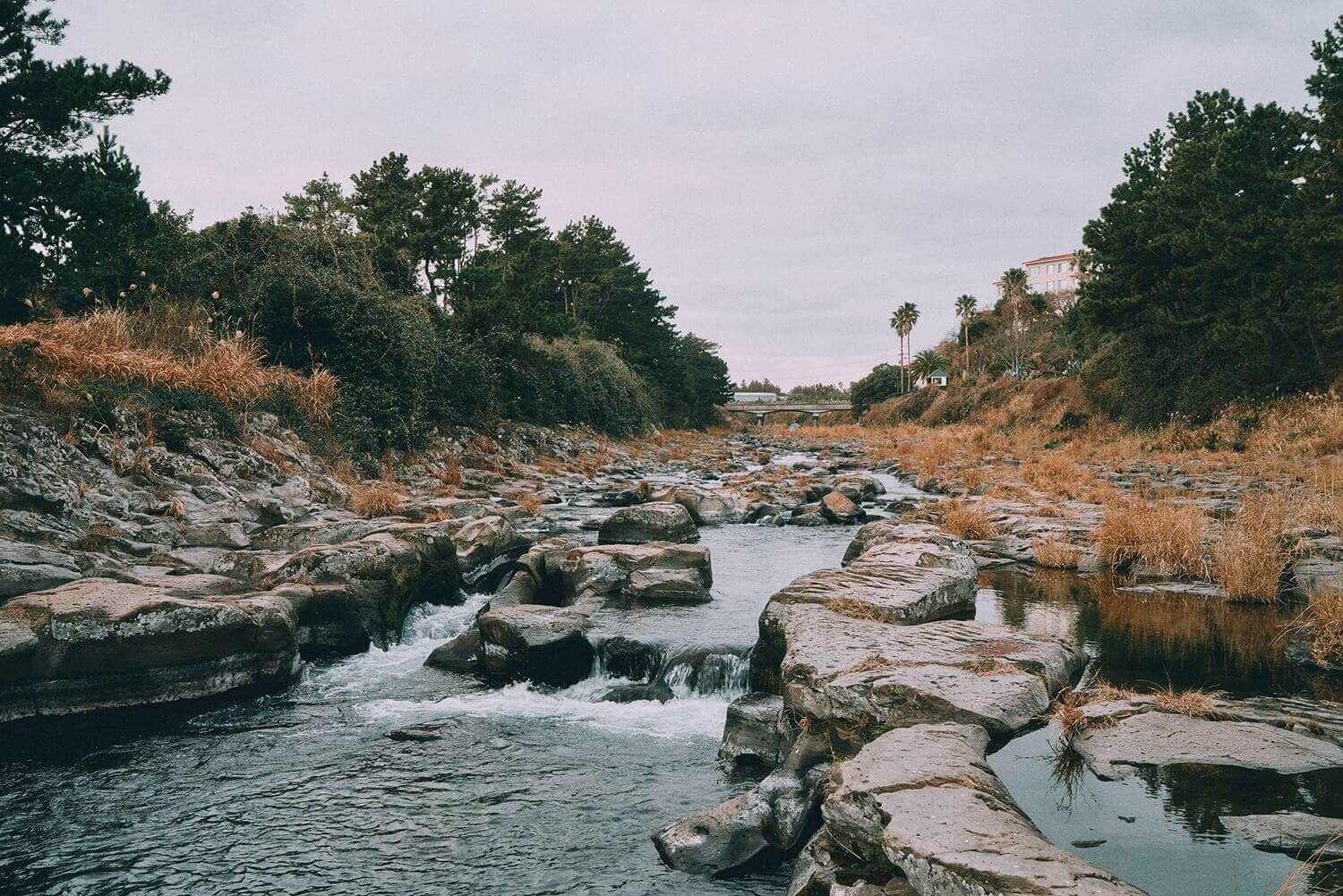 올레길 7코스 vs 10코스, 최고의 선택은? 🥾