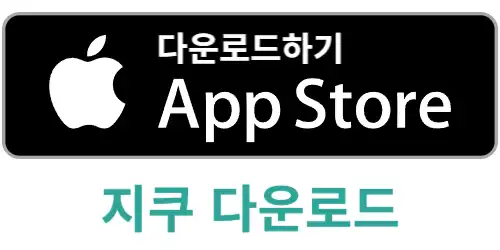 지쿠터 타는법과 요금, 헬멧 면허 없으면 벌금