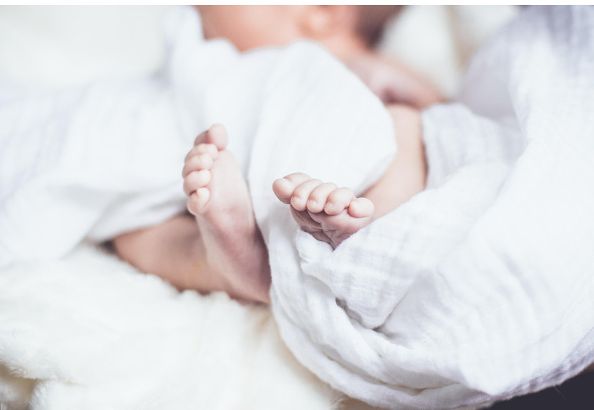 출산장려금제도별비교