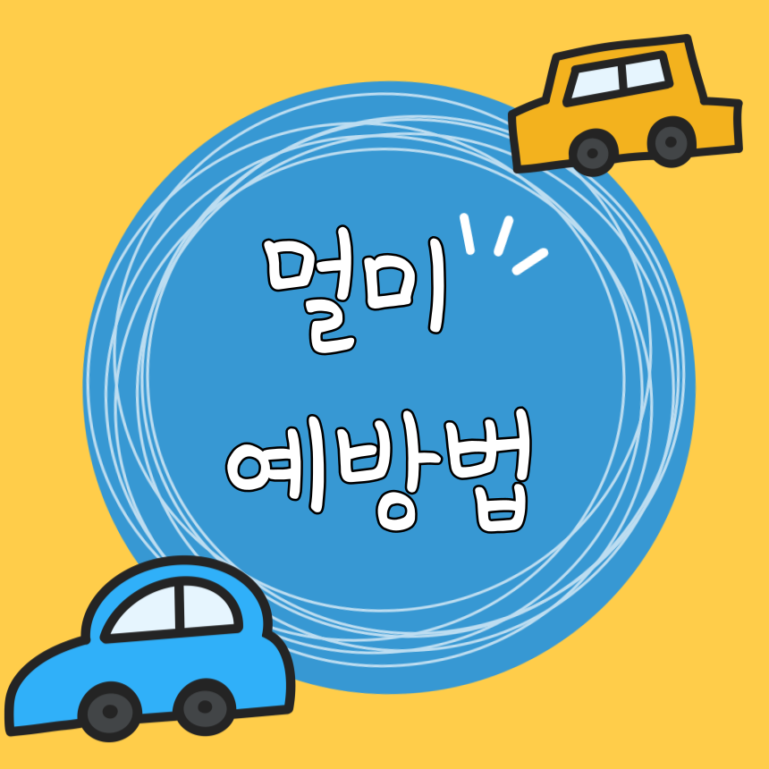 멀미 예방법