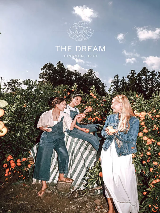 중문더드림감귤