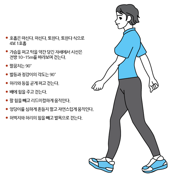 효과적인 걷기 운동 관련 자료
