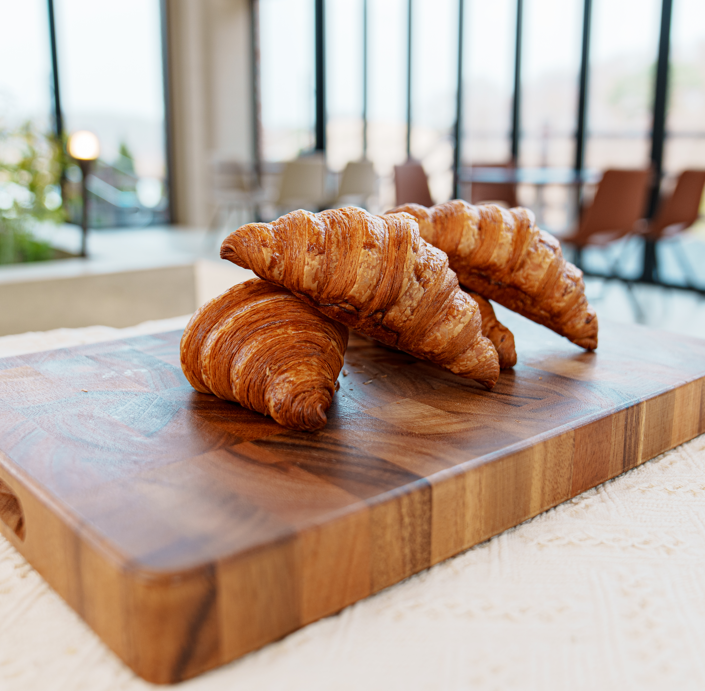 용인 자작나무숲 - 애견동반 입장료 펜션 예약