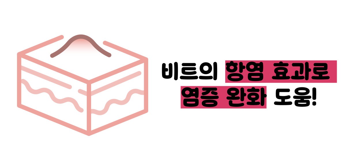 비트 효능 및부작용