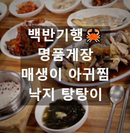 백반기행