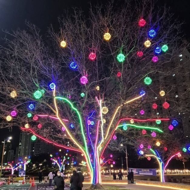 부산 온천천 빛 축제
