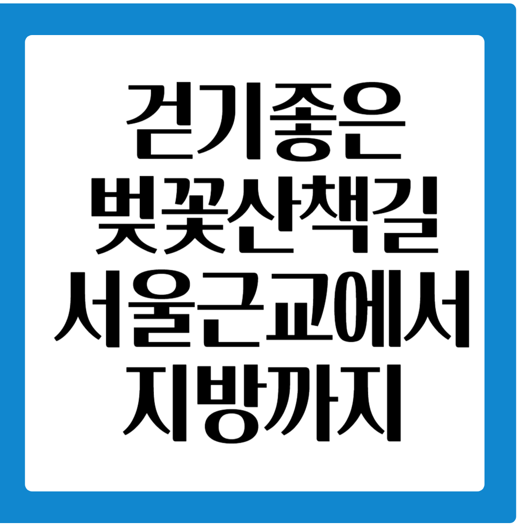 걷기좋은 벚꽃 산책길. 서울근교에서 지방까지
