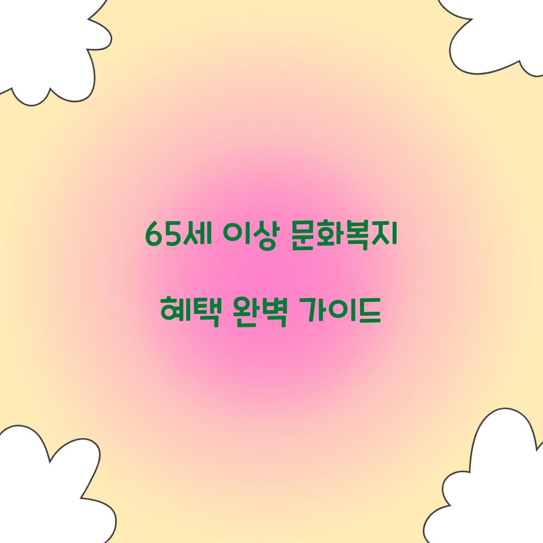 65세 이상 문화복지
