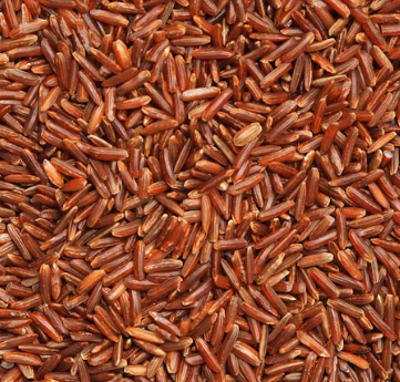 마그네슘 하루 권장량 성인 섭취량 부작용