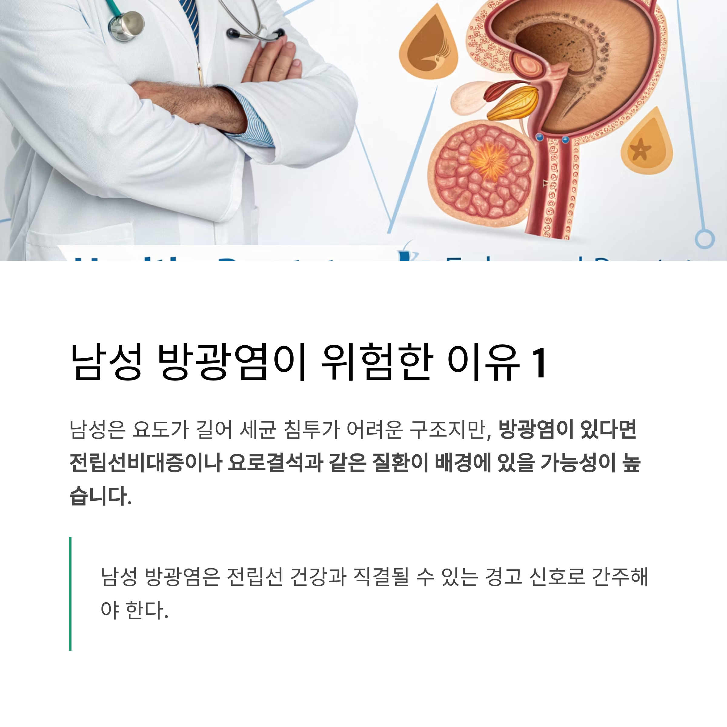 남성 방광염이 위험한 이유 1