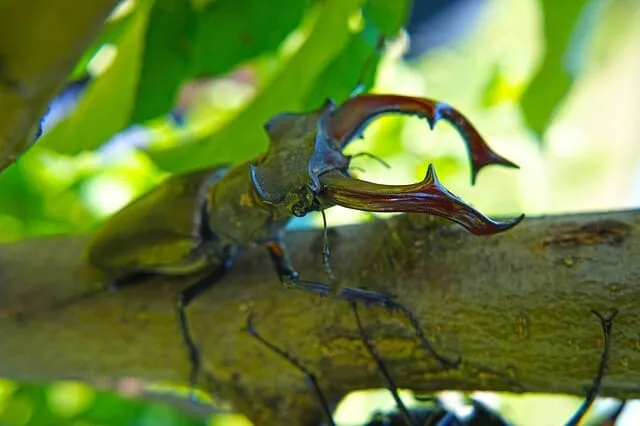 호르몬 변동은 어디서 시작되는가: 장뇌축 관점의 흐름 지도