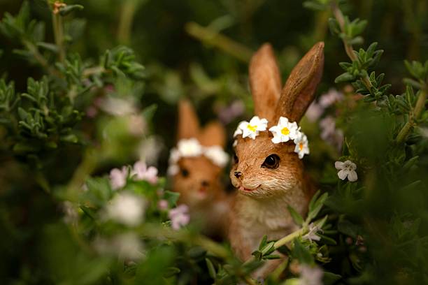 현대인이 사랑하는 반려동물 TOP10, 이유는?